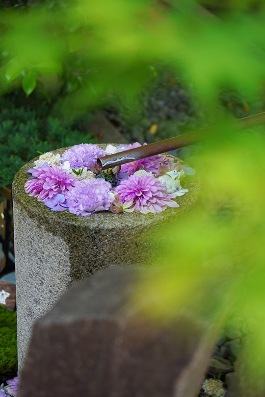 水が流れる花手水