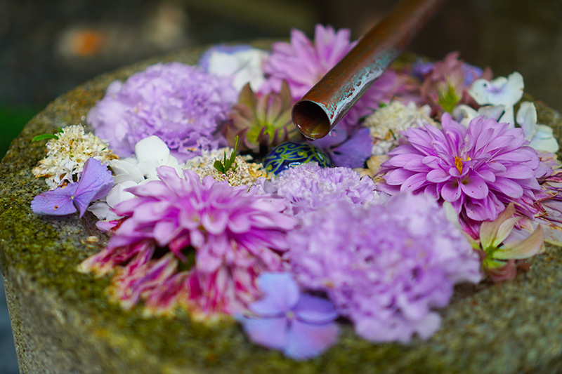 水が流れる花手水