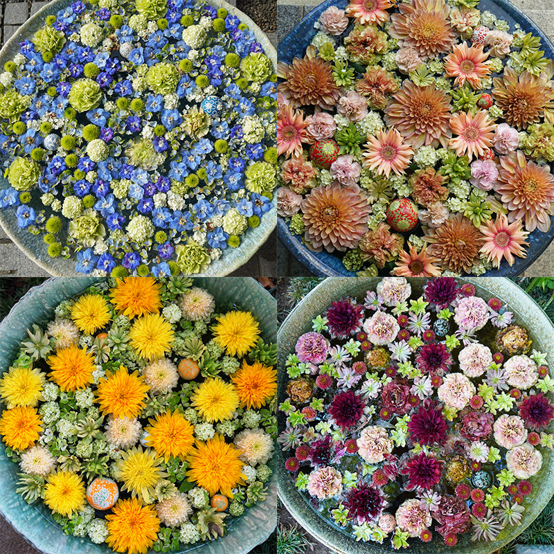 行田八幡神社の花手水