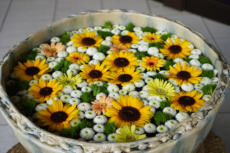 ぷらっとぎょうだ