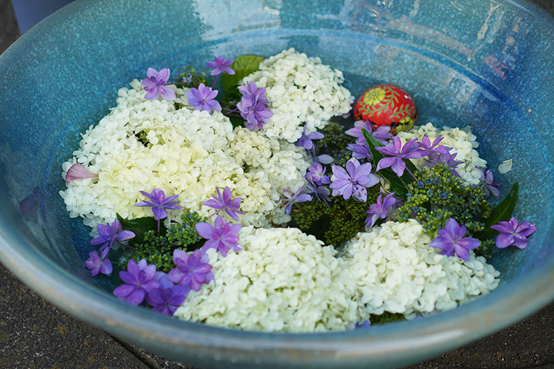 かもゐ漢方薬局