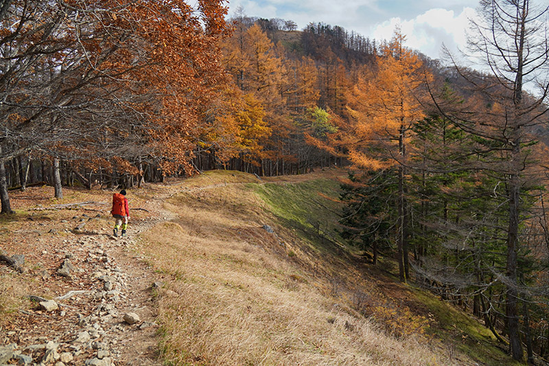 もうすぐブナ坂