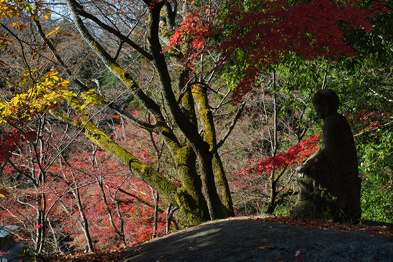 もみじと羅漢像