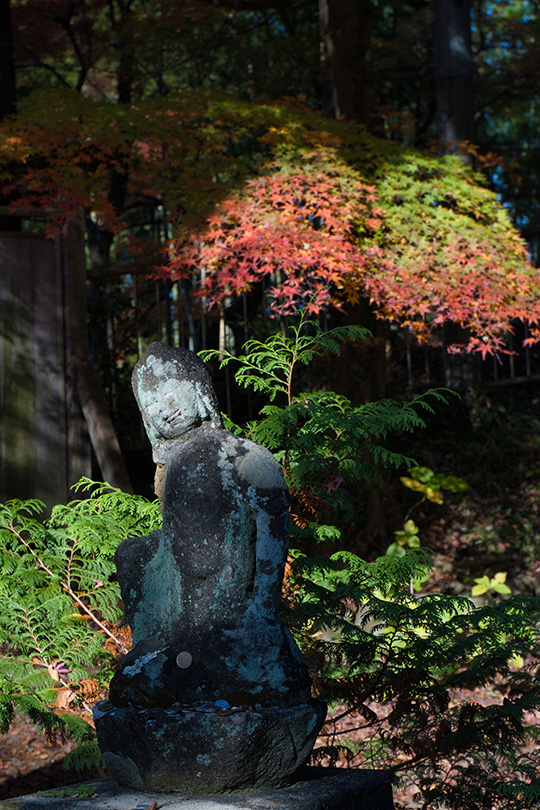 紅葉と羅漢像