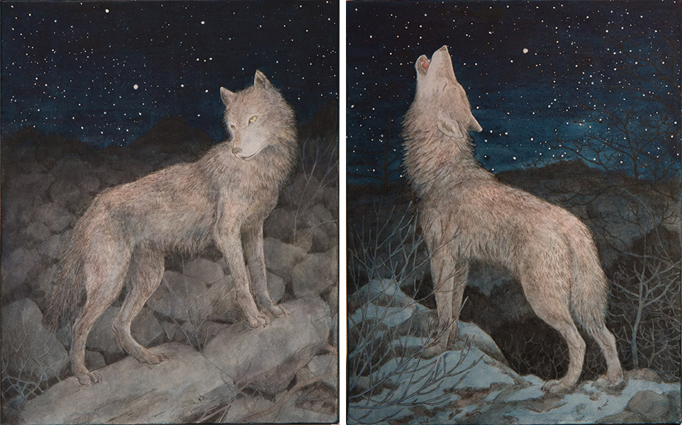 「天狼星」,「北極星」