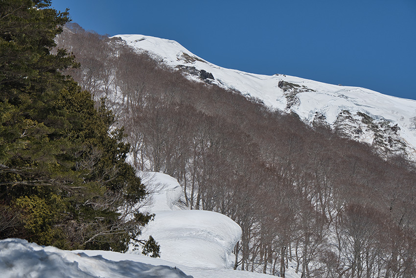 白毛門が見えてきた