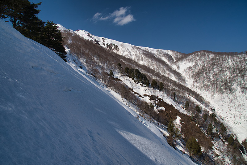 白毛門を振り返る