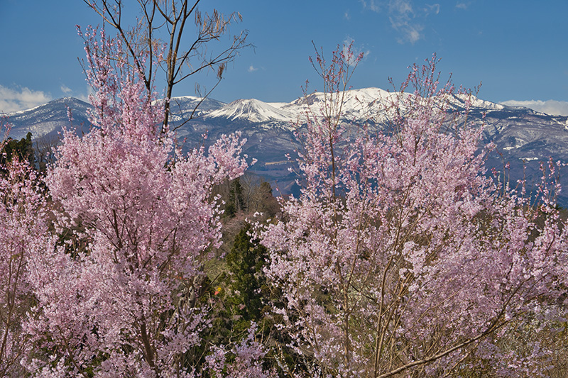 吾妻連峰