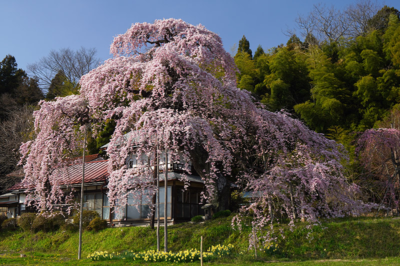 御殿が飲み込まれるよう