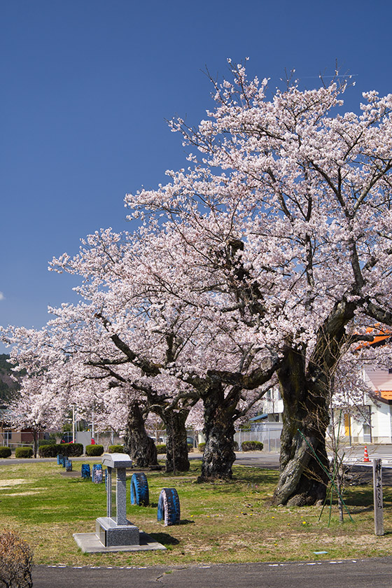 旧石井小学校跡地