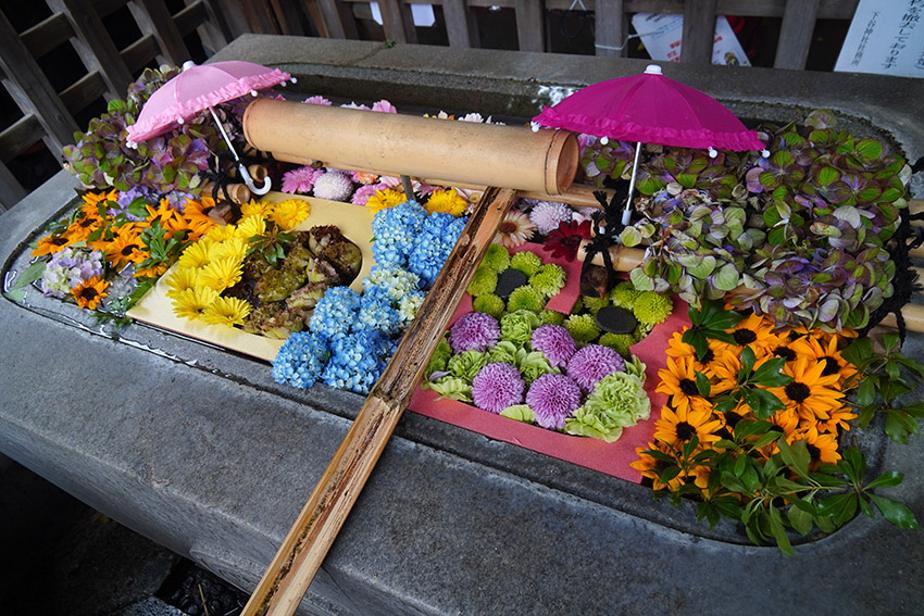 下谷神社の花手水