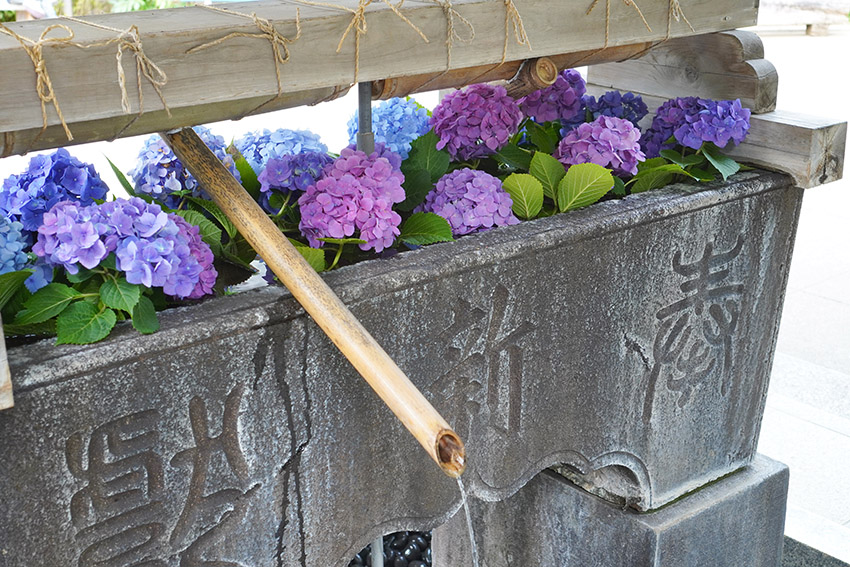鳩森八幡神社