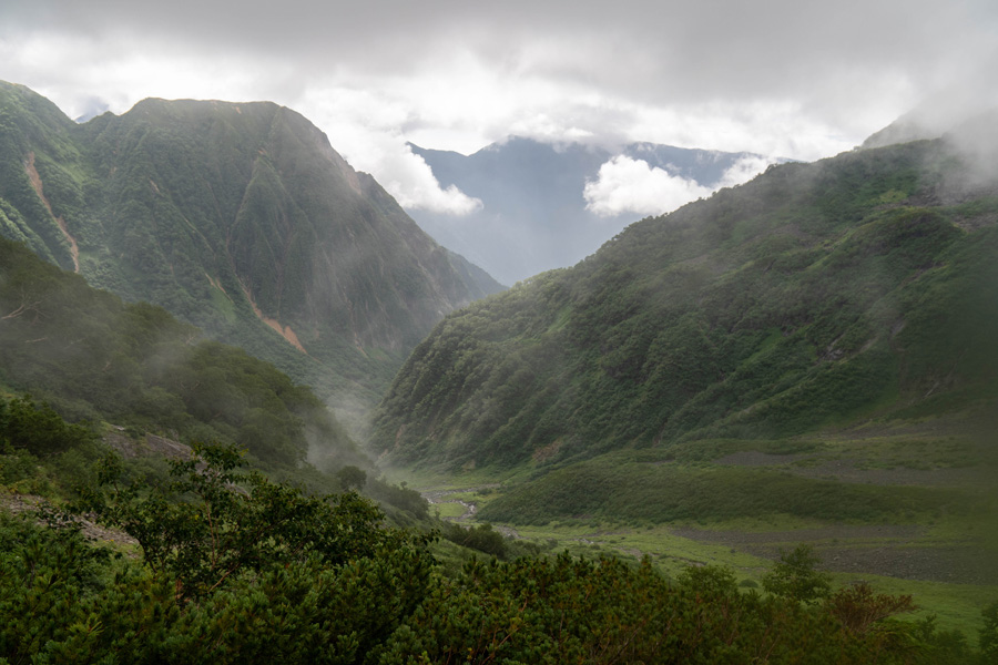 グリーンバンドにて