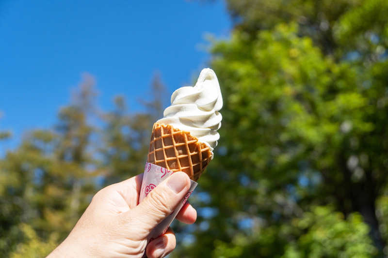 ソフトクリーム