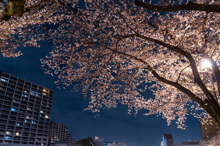 これも都市夜景