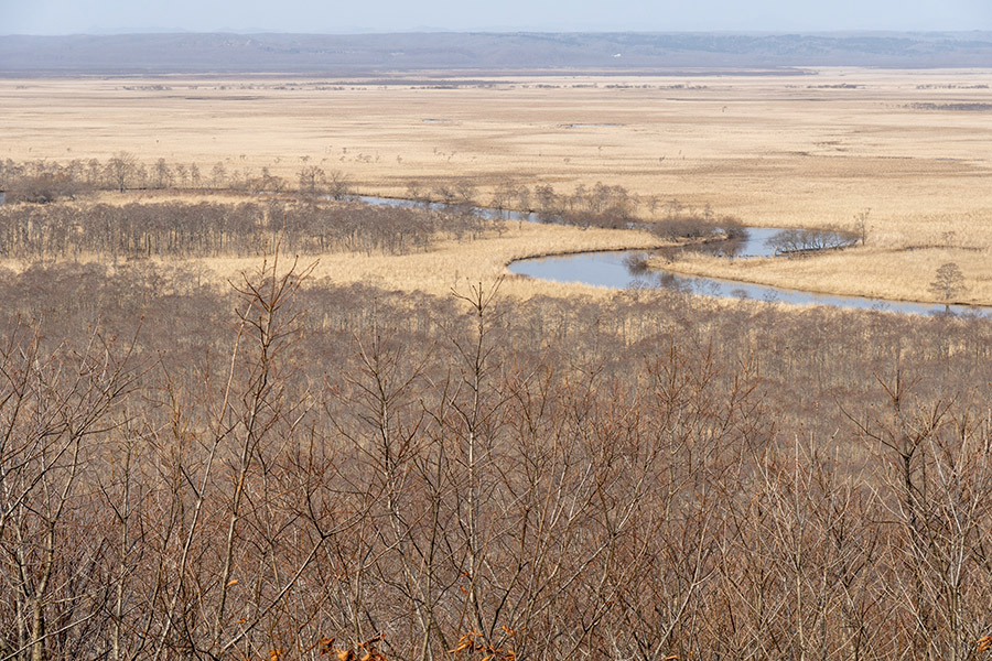 釧路川の蛇行
