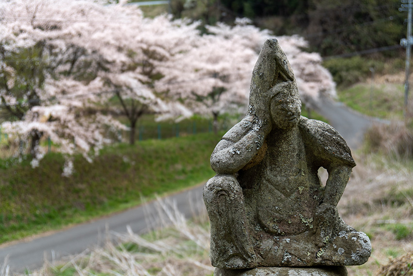 石仏と桜