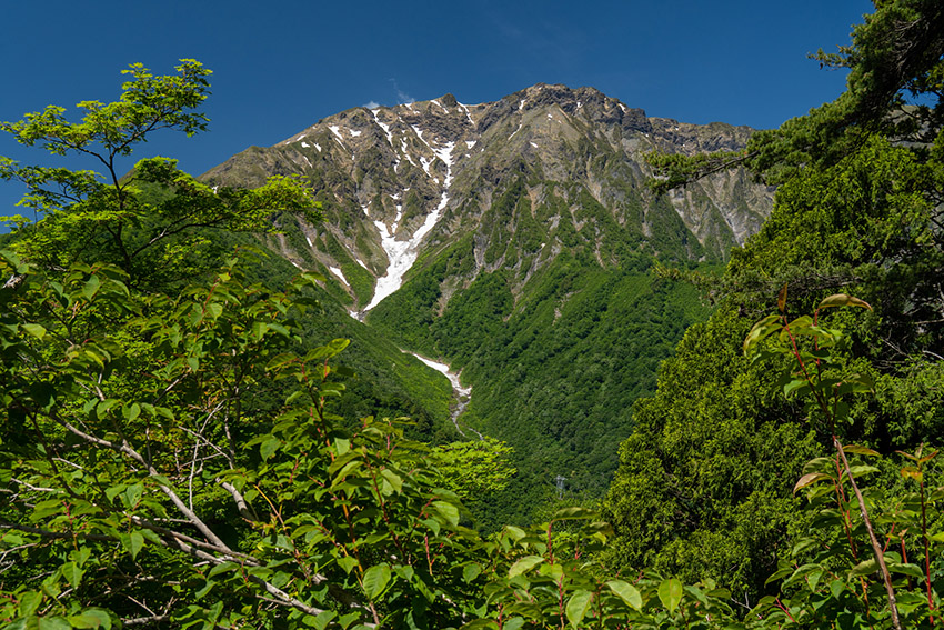 木の間越しに谷川岳