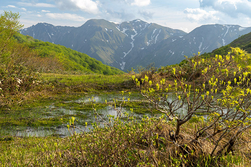 湿原と茂倉岳