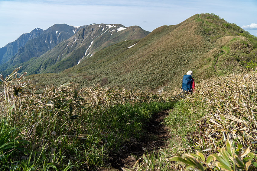 七ツ小屋山付近