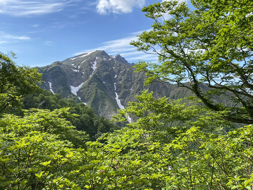 谷川岳を振り返る