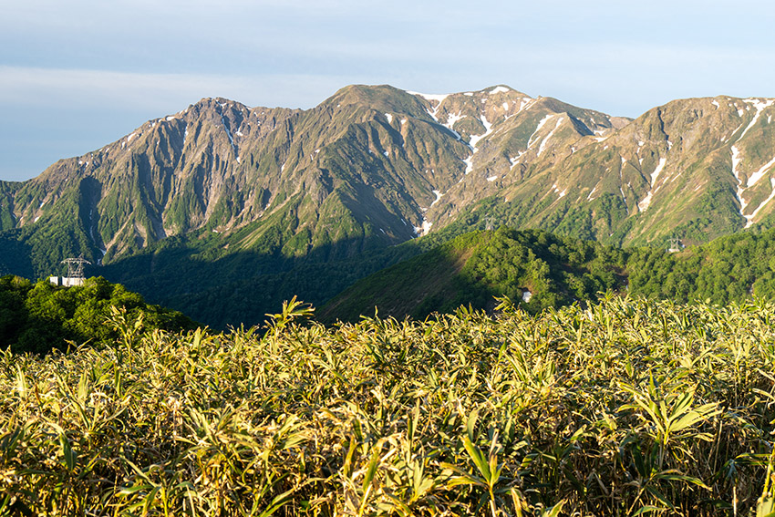 朝日を浴びる谷川連峰