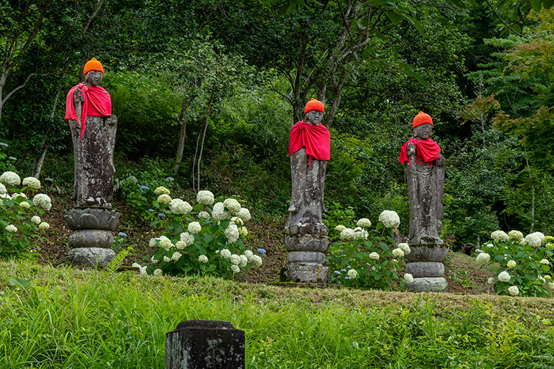アナベルとお地蔵さま