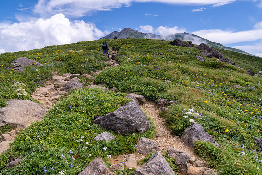 御浜は近い。振り返ると山頂