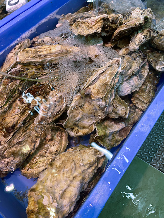 殻付き牡蠣,1個200円