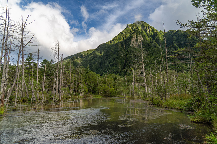 岳沢湿原と六百山