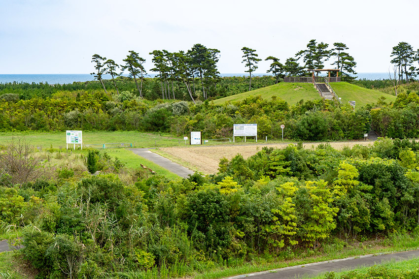 避難丘からは海が見えます