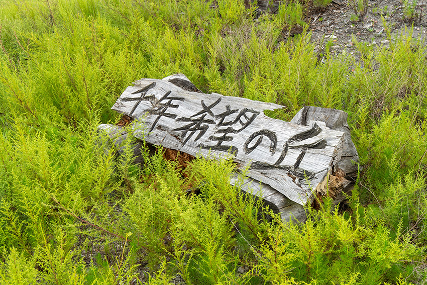 岩沼市・千年希望の丘