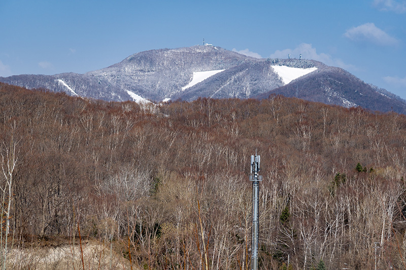 藻岩山