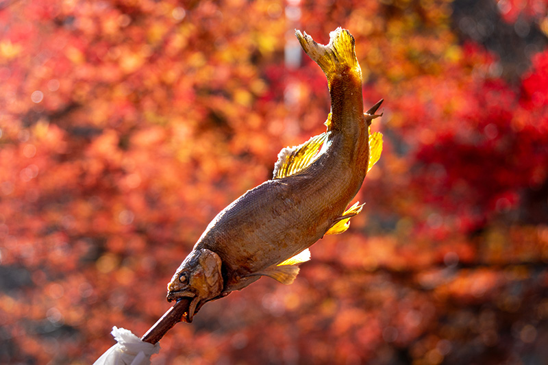 鮎の塩焼き