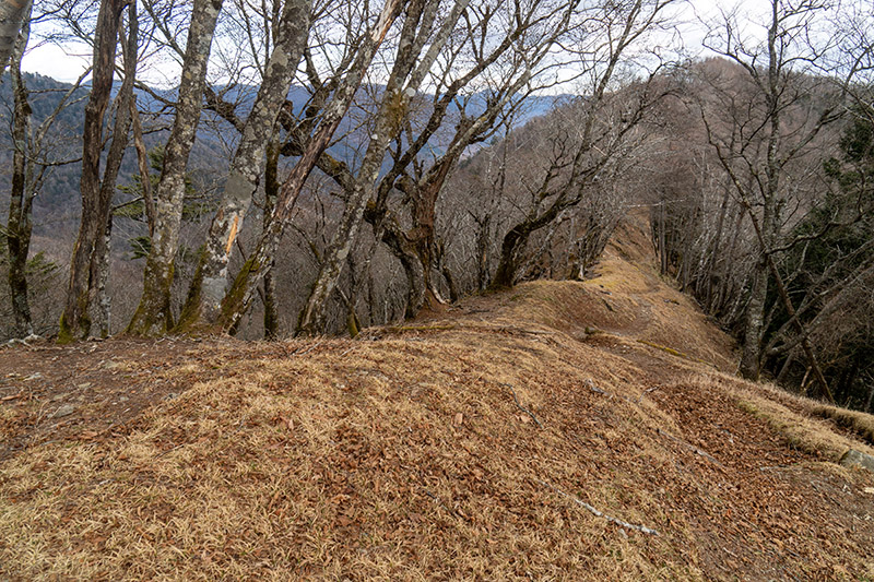 石尾根縦走路に合流