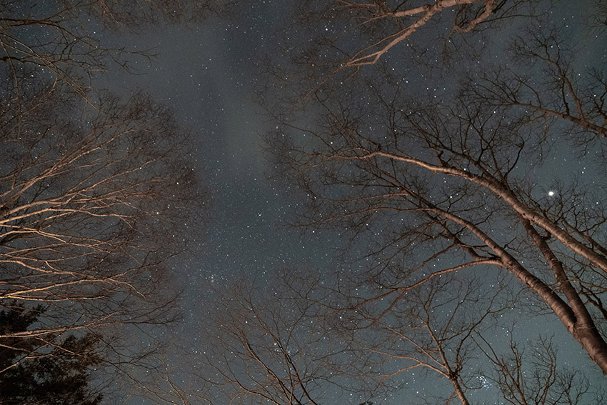 雲取山荘の星空