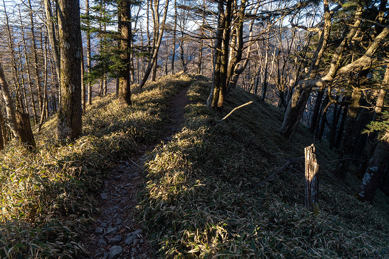 奥秩父主脈縦走路をゆく