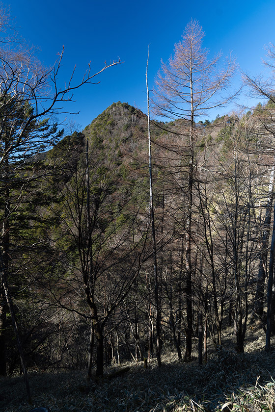三ツ山「一の峰」