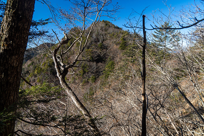 三ツ山「二の峰」