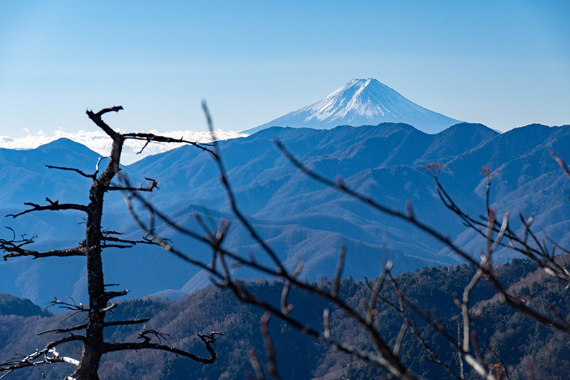 三ツ山「二の峰」から富士山