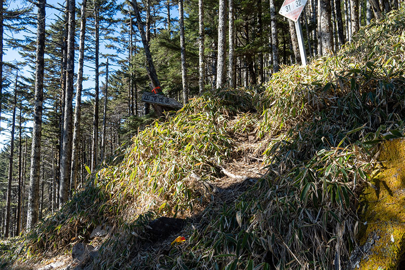 飛龍山頂上へ向かう道