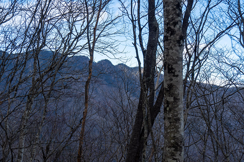 木の間越しに三ツ山