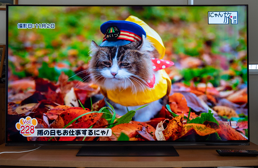 モダンデコ SUNRIZE 4K 55インチ 55型 TV55-4K-BK 2019年製