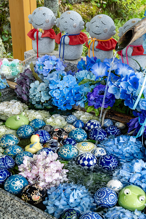 陽林寺の紫陽花手水