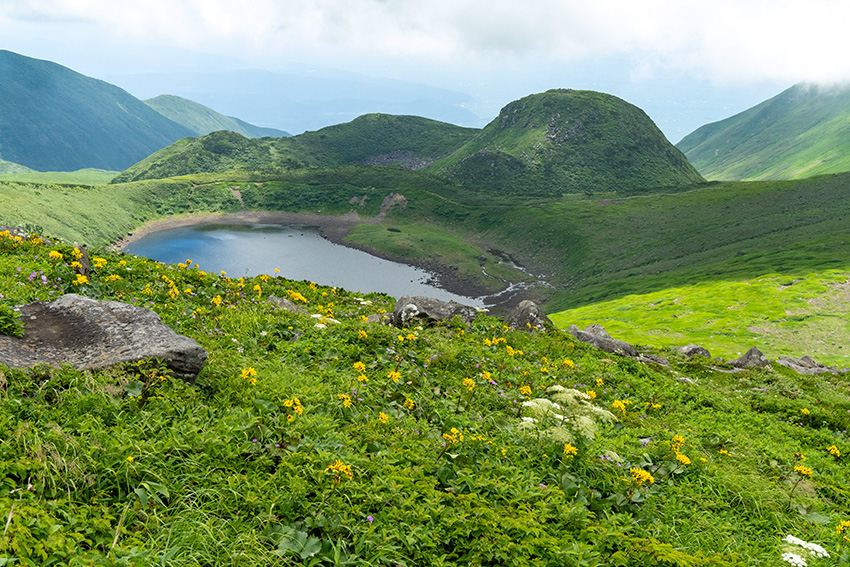 花咲く鳥海湖