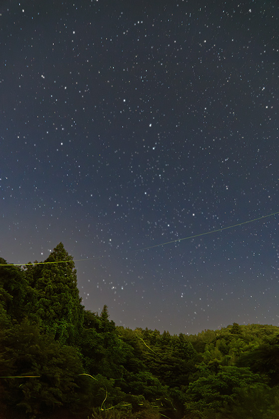 ホタルと北斗七星