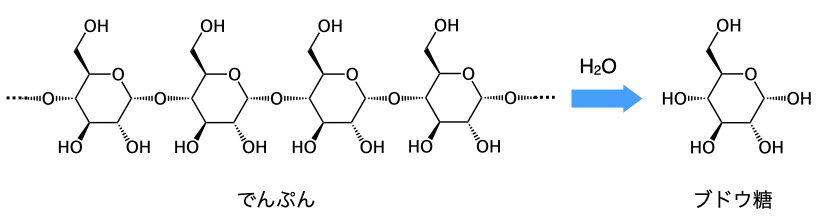 でんぷんの加水分解