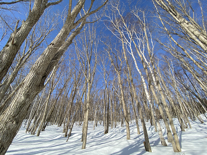 西岡公園