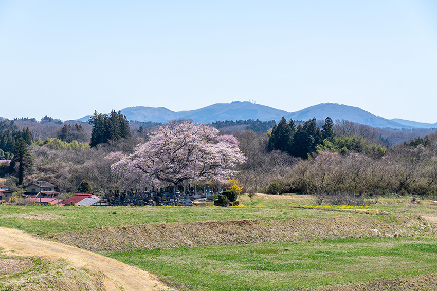 あたりはのどかな丘陵地帯
