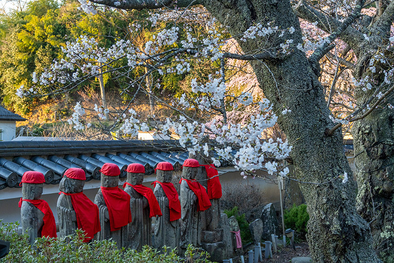 福聚寺のお地蔵さん